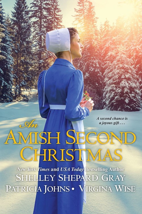 An Amish Second Christmas by Patricia Johns