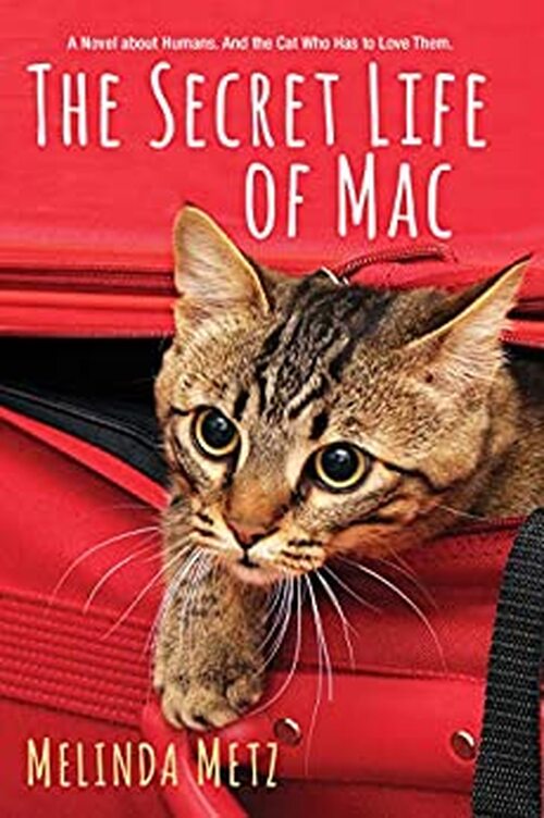 The Secret Life of Mac by Melinda Metz