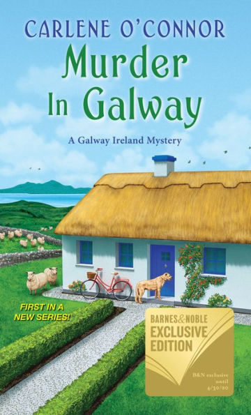 Murder in Galway by Carlene O'Connor