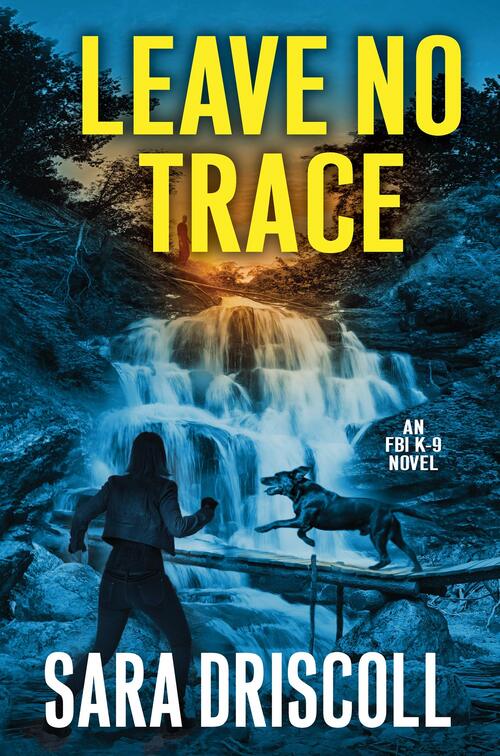 Leave No Trace by Sara Driscoll