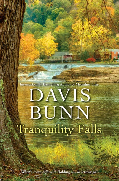 Tranquility Falls by Davis Bunn