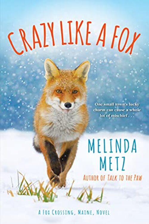 Crazy like a Fox by Melinda Metz