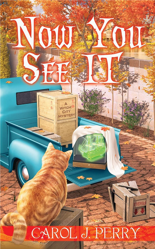 Now You See It by Carol J. Perry