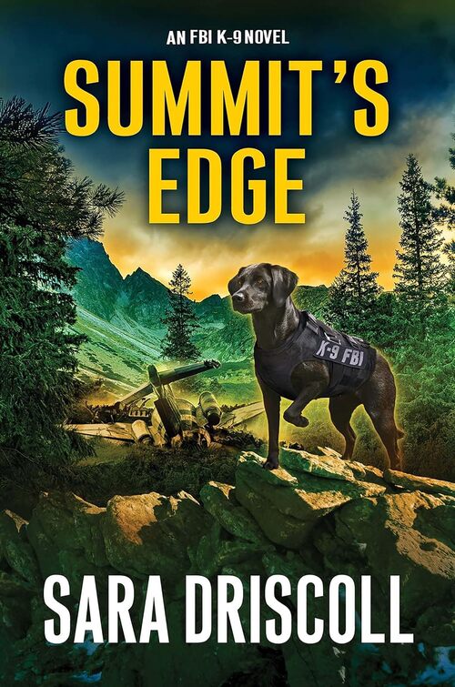 Summit's Edge by Sara Driscoll