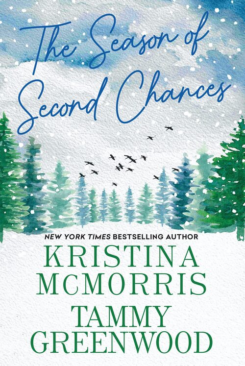 The Season of Second Chances by Tammy Greenwood