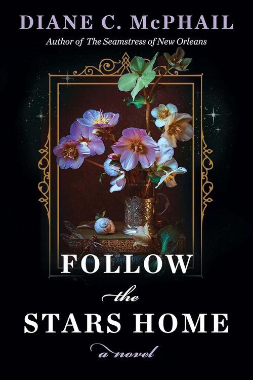 Follow the Stars Home
