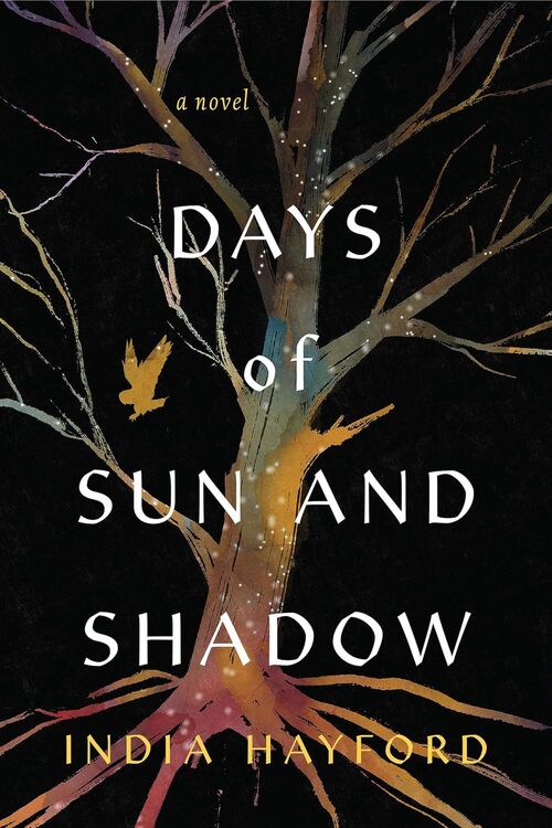 Days of Sun and Shadow by India Hayford