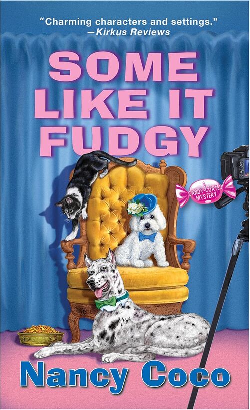Some Like It Fudgy by Nancy Coco