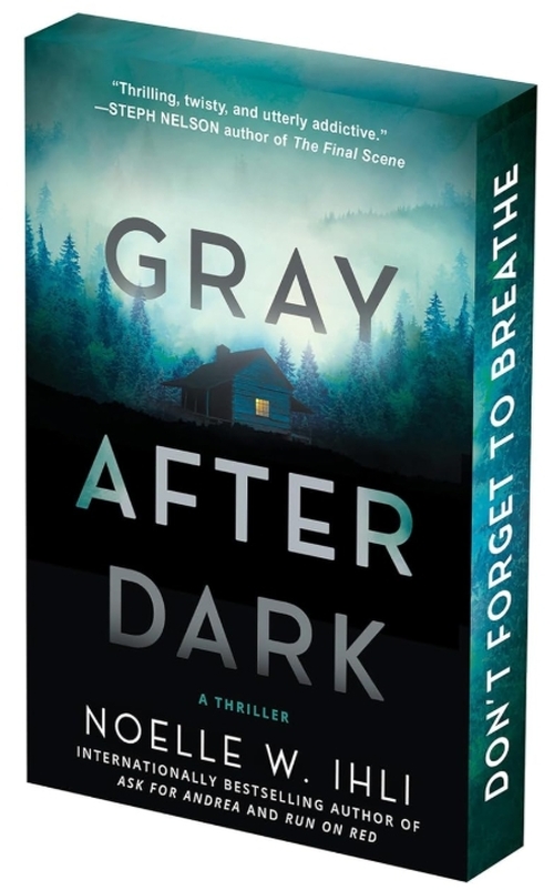 Gray After Dark by Noelle West Ihli