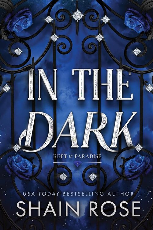 In the Dark by Shain Rose