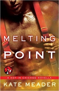 Excerpt of Melting Point by Kate Meader