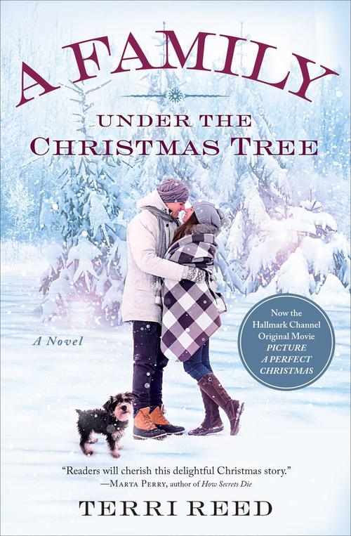 A Family Under the Christmas Tree by Terri Reed