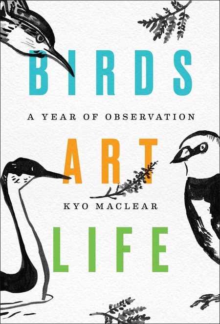 Birds Art Life by Kyo Maclear