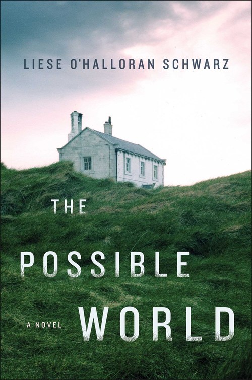 The Possible World by Liese O'Halloran Schwarz