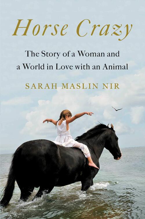Horse Crazy by Sarah Maslin Nir