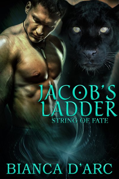 Jacob's Ladder by Bianca D'Arc