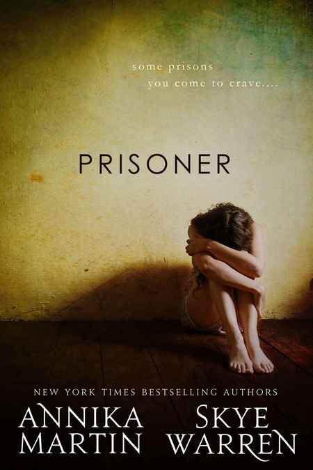 Prisoner by Annika Martin