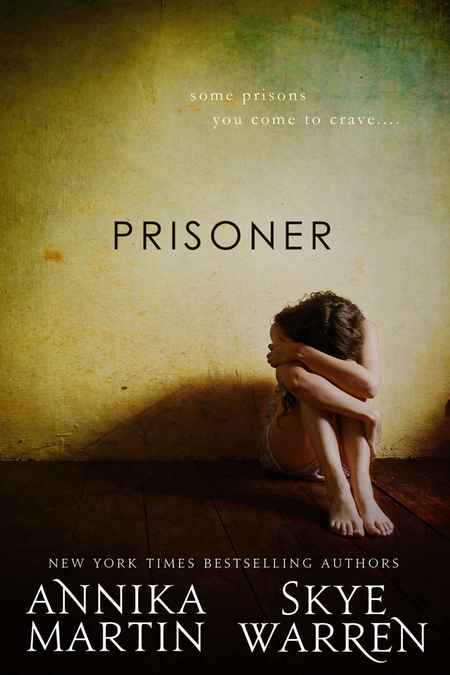 Prisoner by Skye Warren