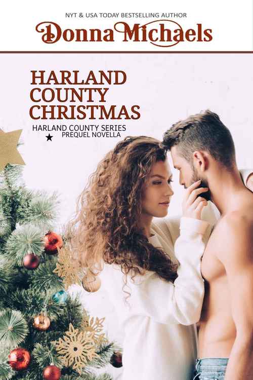 Harland County Christmas by Donna Michaels
