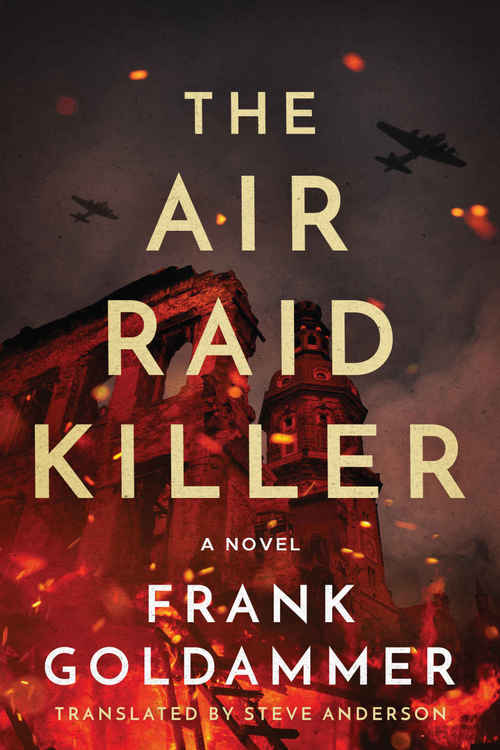 The Air Raid Killer by Frank Goldammer