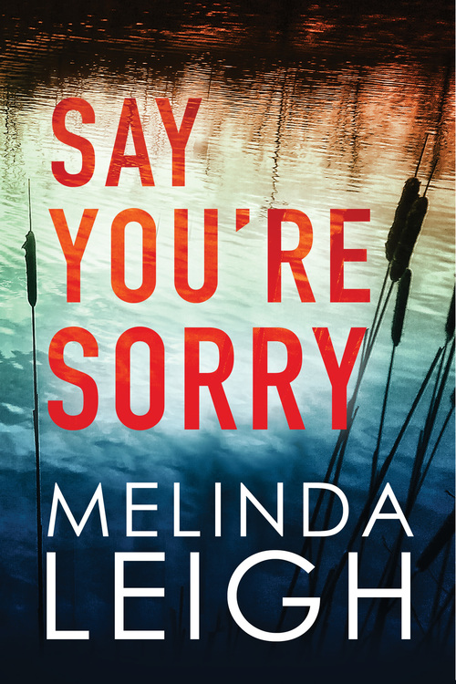 Say You're Sorry by Melinda Leigh
