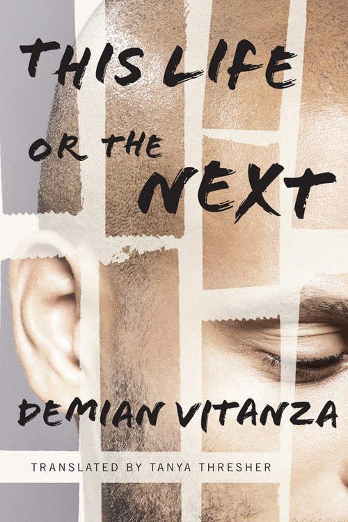 This Life or the Next by Demian Vitanza