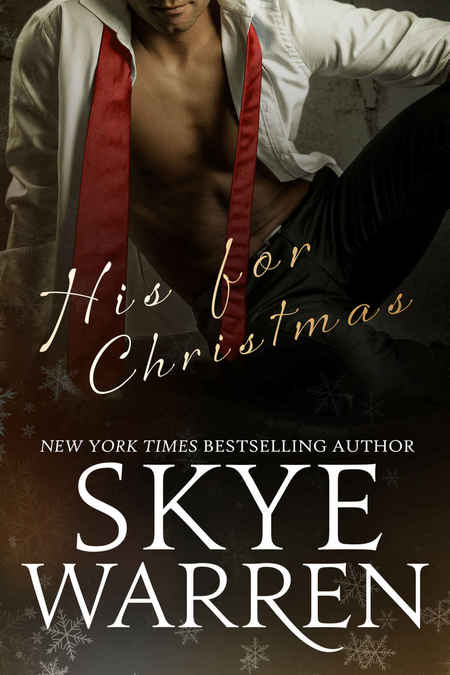 His For Christmas by Skye Warren