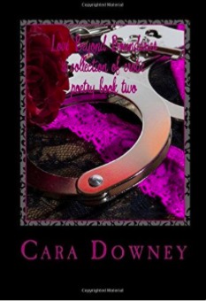 Love Beyond Boundaries by Cara Downey