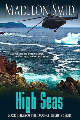 High Seas by Madelon Smid