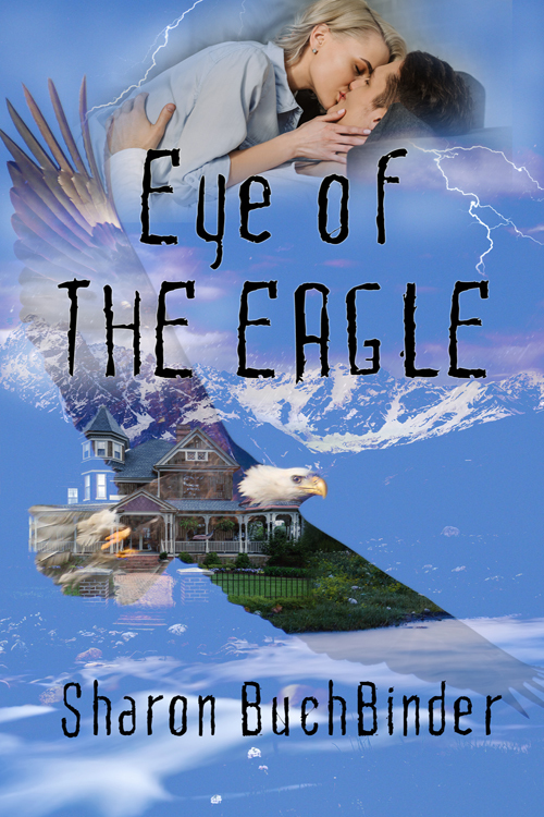 Eye of the Eagle by Sharon Buchbinder
