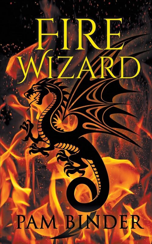 Fire Wizard by Pam Binder