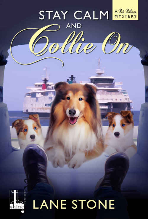 STAY CALM AND COLLIE ON