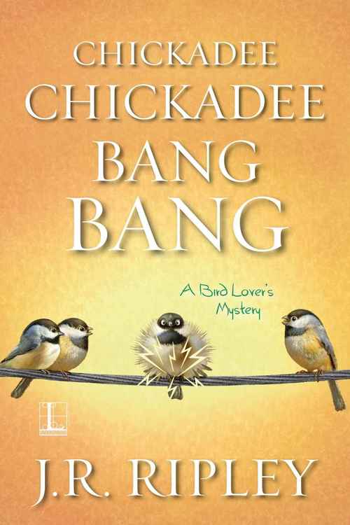Chickadee Chickadee Bang Bang by J.R. Ripley