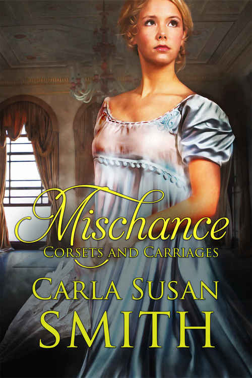Excerpt of Mischance by Carla Susan Smith