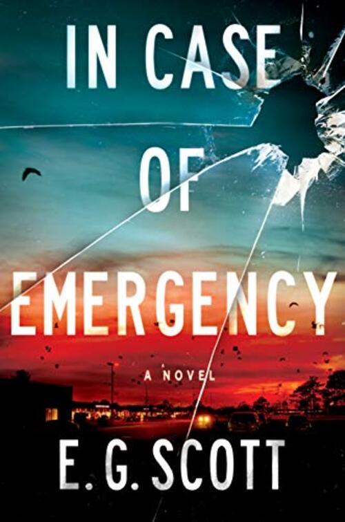 In Case of Emergency by E.G. Scott