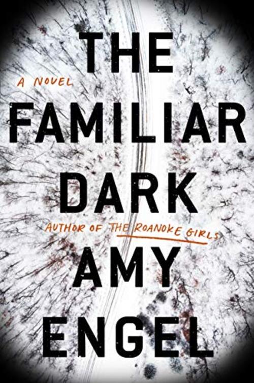 The Familiar Dark by Amy Engel