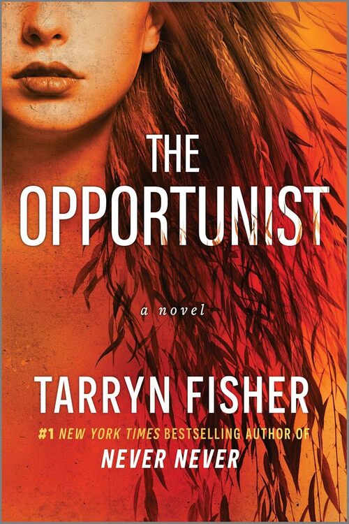 The Opportunist by Tarryn Fisher