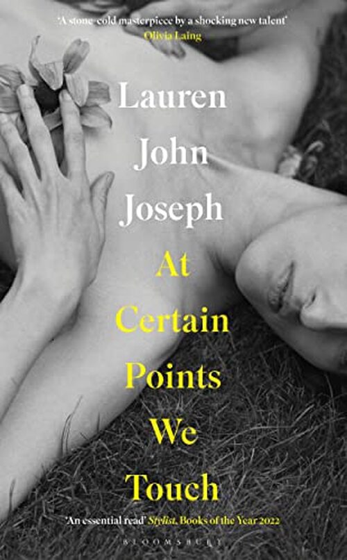 At Certain Points We Touch by Lauren John Joseph