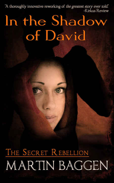 In The Shadow Of David by Martin Baggen