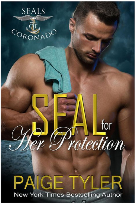 SEAL For Her Protection by Paige Tyler