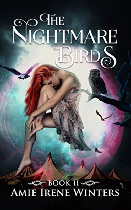 THE NIGHTMARE BIRDS