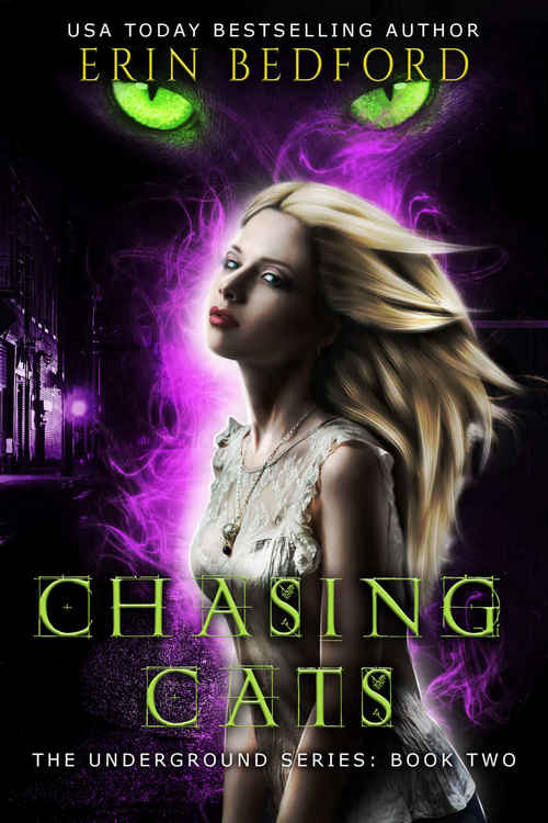 Chasing Cats by Erin Bedford