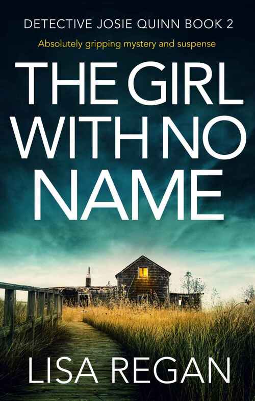 The Girl with No Name by Lisa Regan