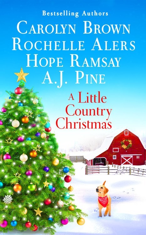 A Little Country Christmas by Rochelle Alers