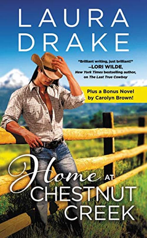 Home at Chestnut Creek by Laura Drake