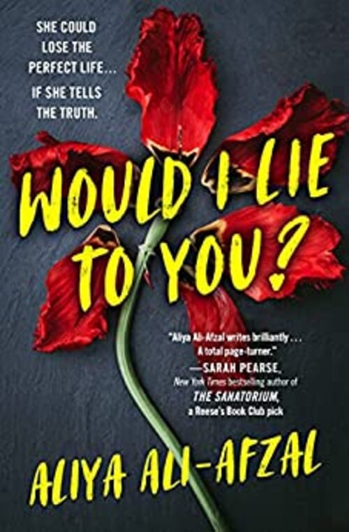 Would I Lie to You? by Aliya Ali-Afzal