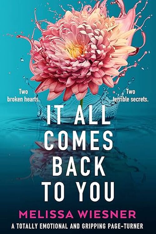 It All Comes Back to You by Melissa Wiesner