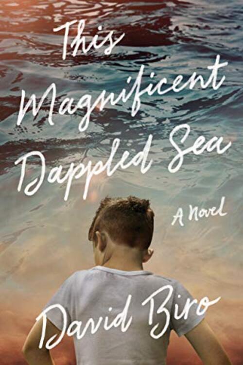 This Magnificent Dappled Sea by David Biro