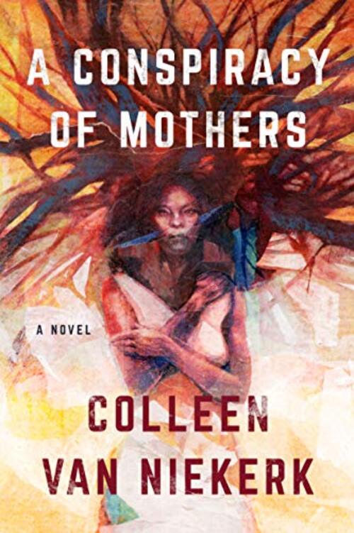 A Conspiracy of Mothers by Colleen van Niekerk