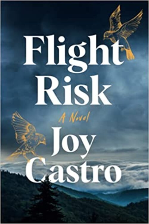 Flight Risk by Joy Castro